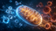 Hydrogen Water and Recovery Data: Reading Oxidative Stress and HRV With Confidence